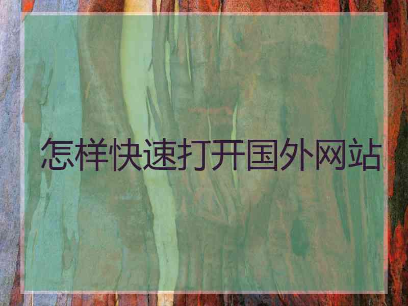 怎样快速打开国外网站