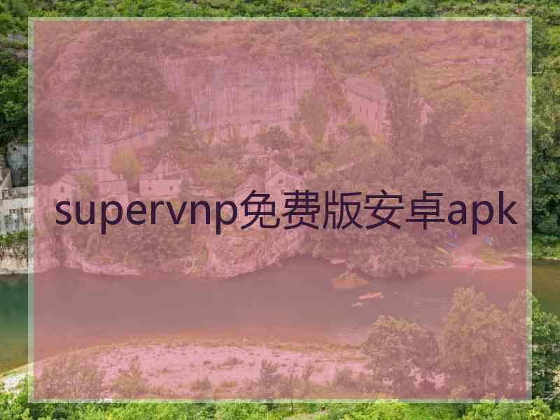 supervnp免费版安卓apk