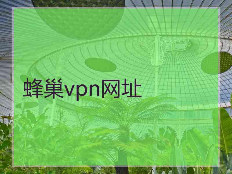 蜂巢vpn网址