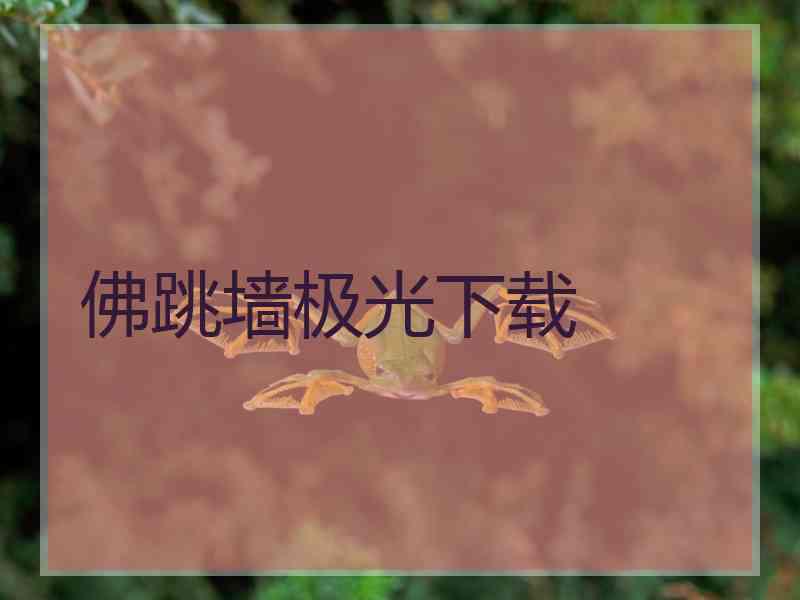 佛跳墙极光下载