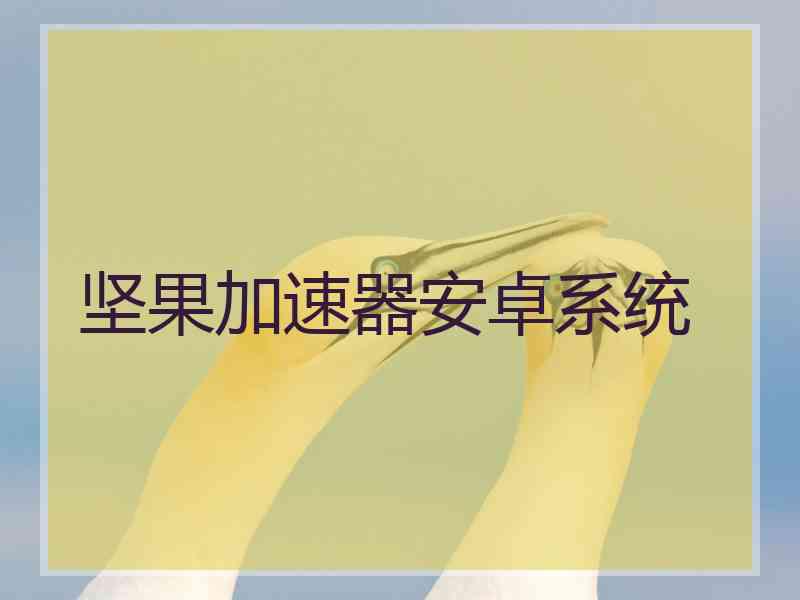 坚果加速器安卓系统