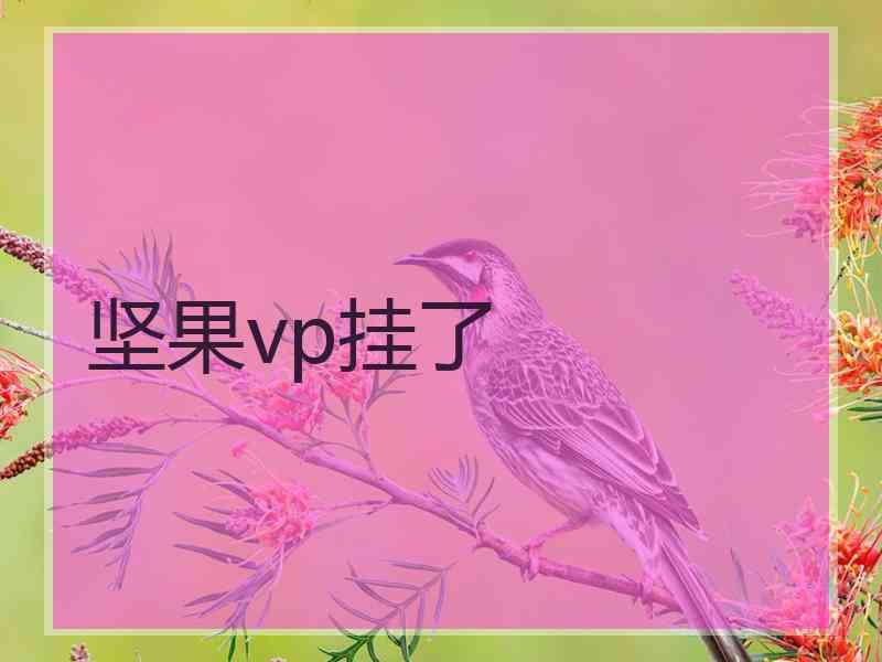 坚果vp挂了