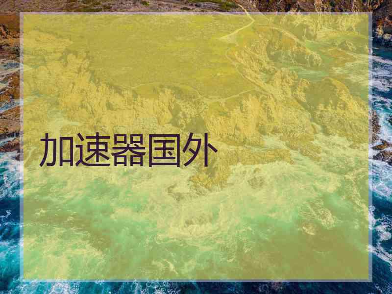 加速器国外