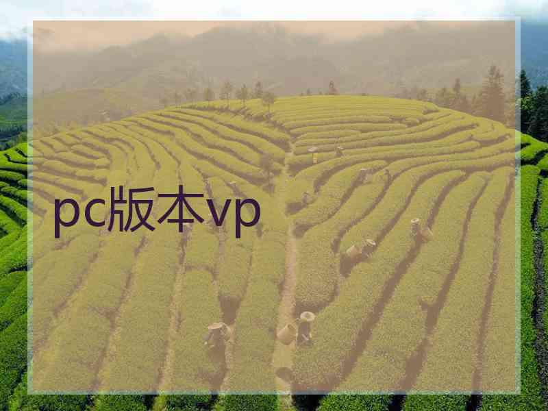 pc版本vp