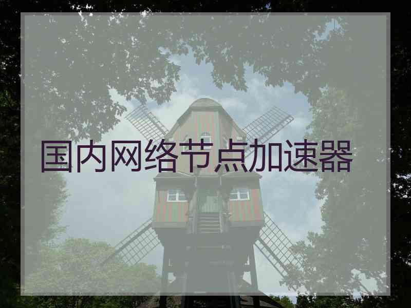 国内网络节点加速器