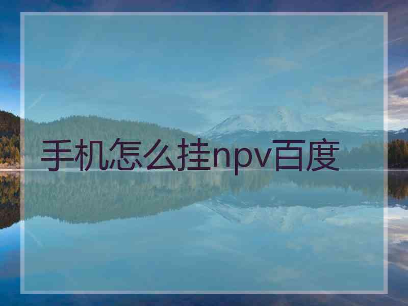 手机怎么挂npv百度