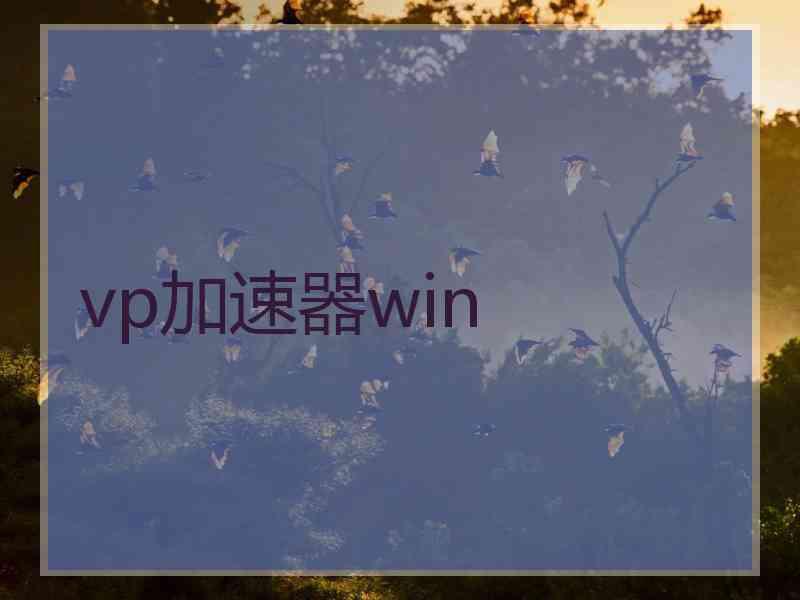 vp加速器win