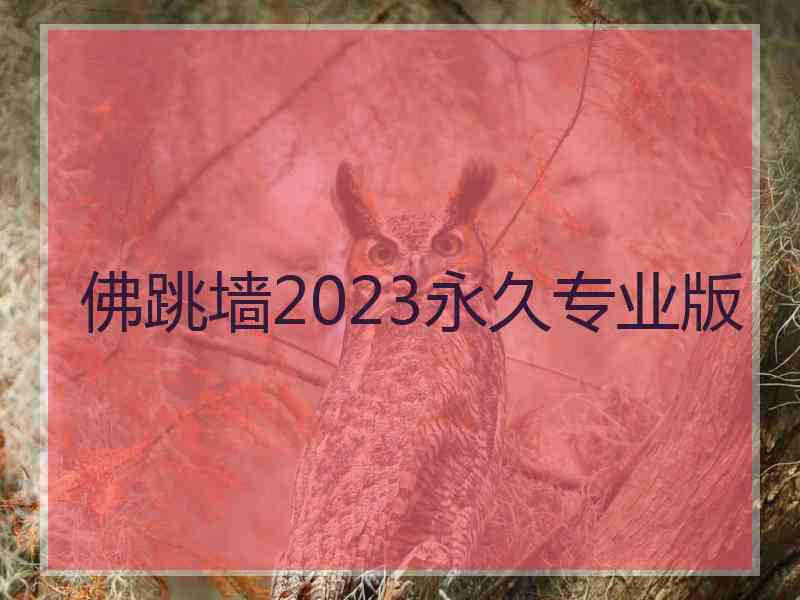 佛跳墙2023永久专业版