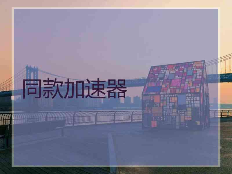 同款加速器