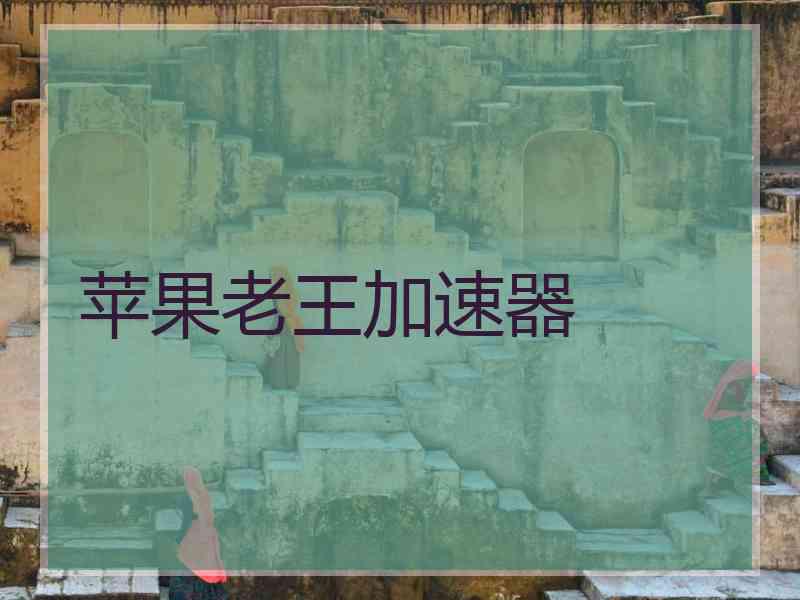 苹果老王加速器