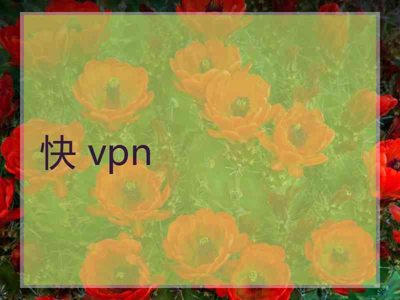 快 vpn