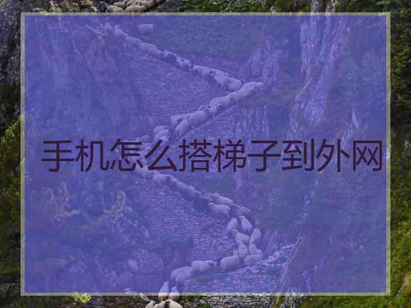 手机怎么搭梯子到外网