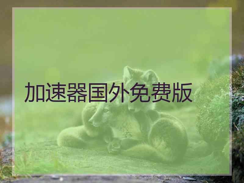 加速器国外免费版