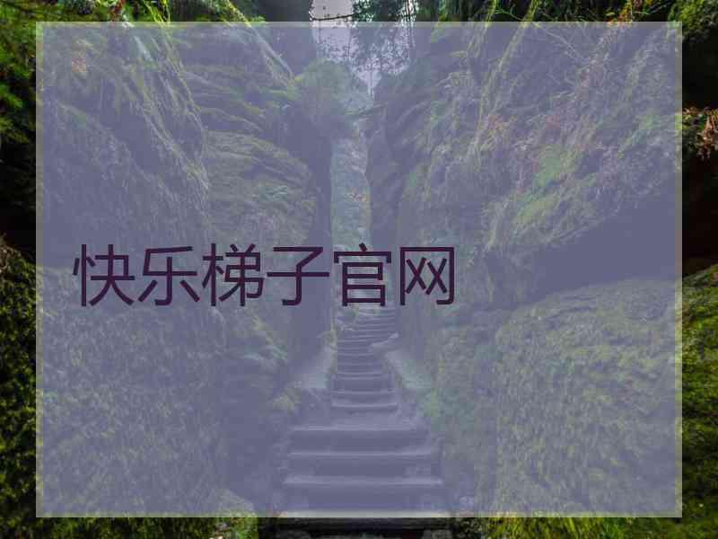 快乐梯子官网