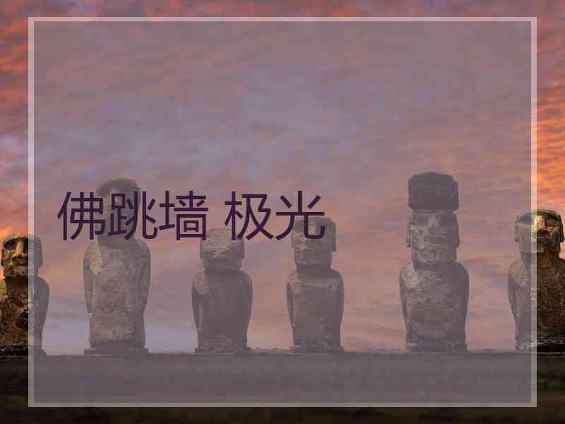 佛跳墙 极光