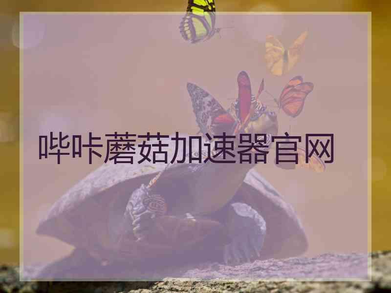 哔咔蘑菇加速器官网