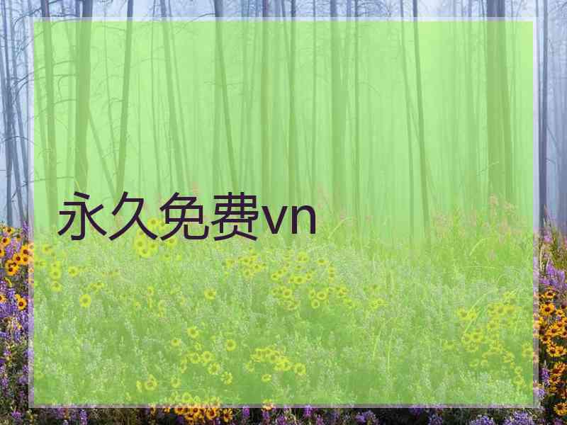 永久免费vn