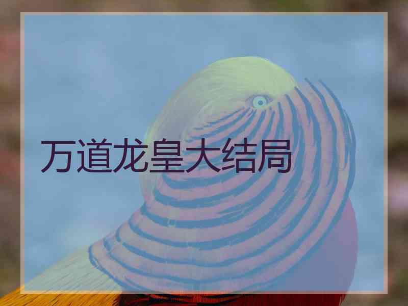 万道龙皇大结局
