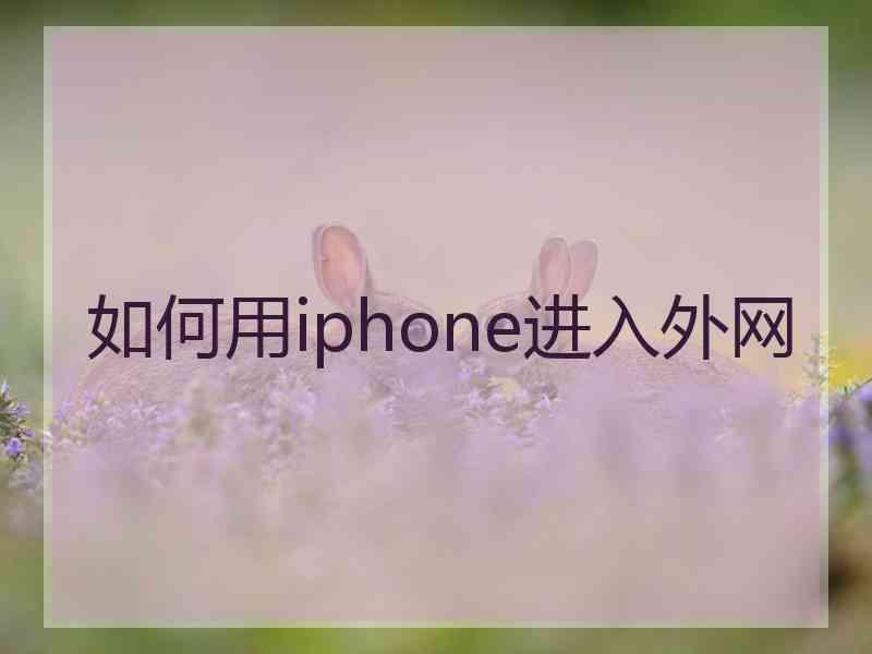 如何用iphone进入外网