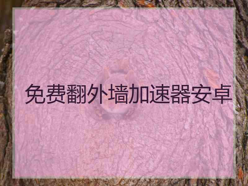 免费翻外墙加速器安卓
