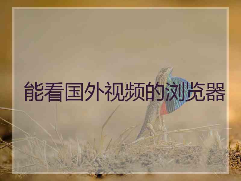 能看国外视频的浏览器