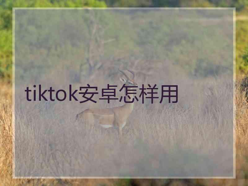 tiktok安卓怎样用