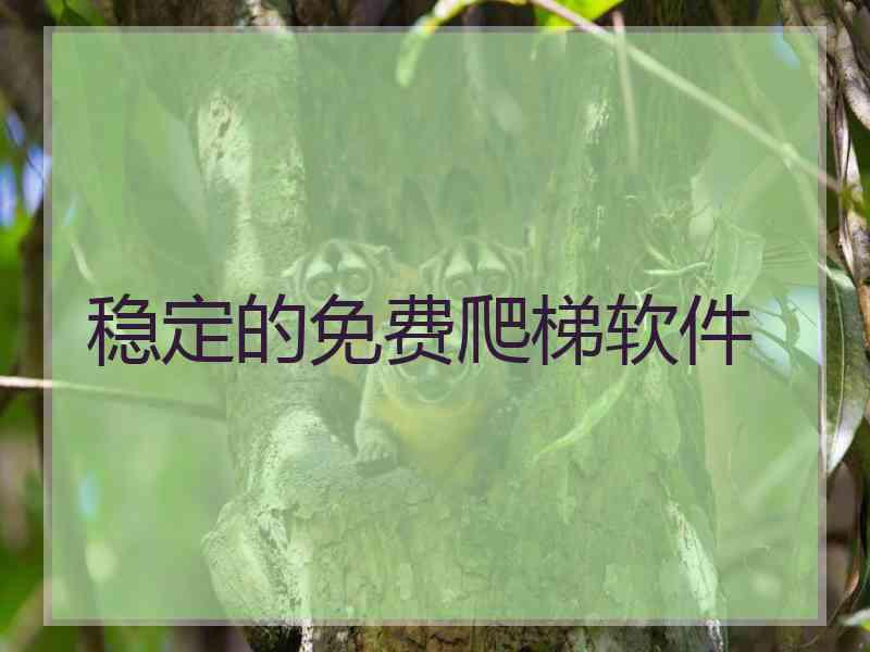 稳定的免费爬梯软件