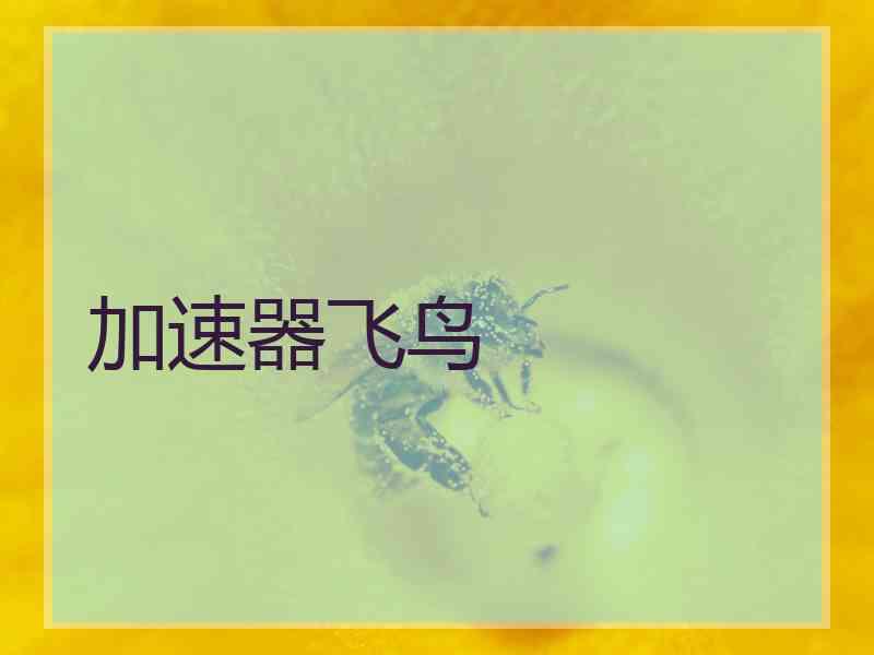 加速器飞鸟