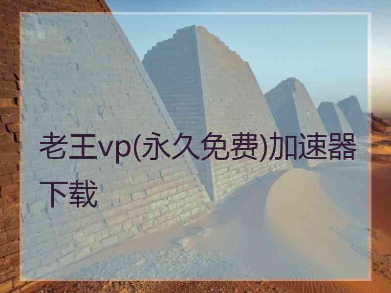 老王vp(永久免费)加速器下载