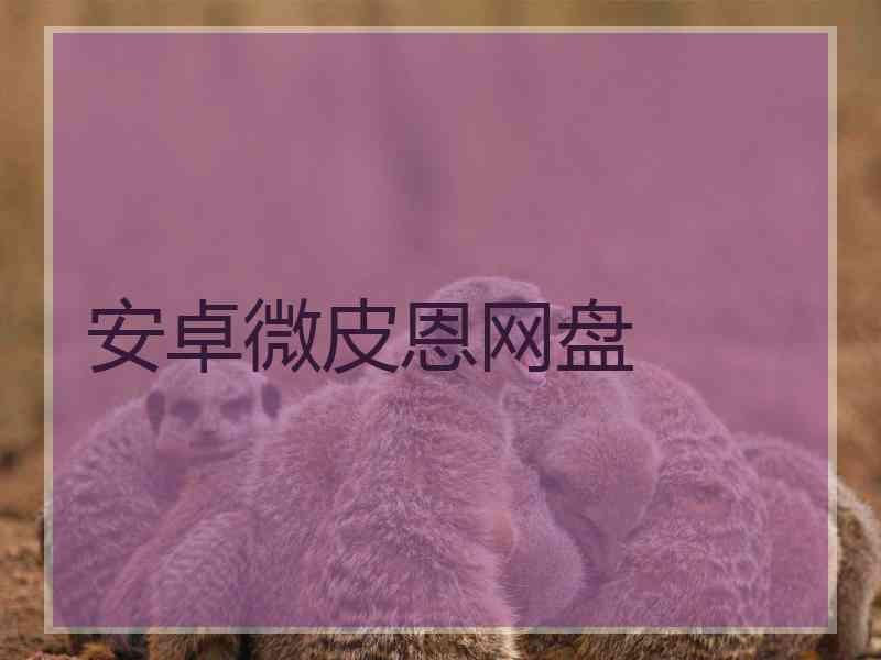 安卓微皮恩网盘
