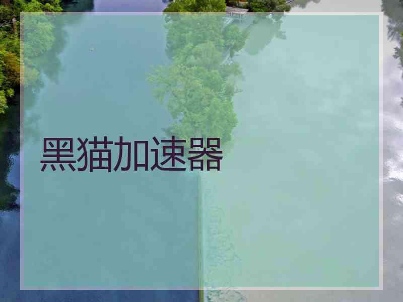黑猫加速器