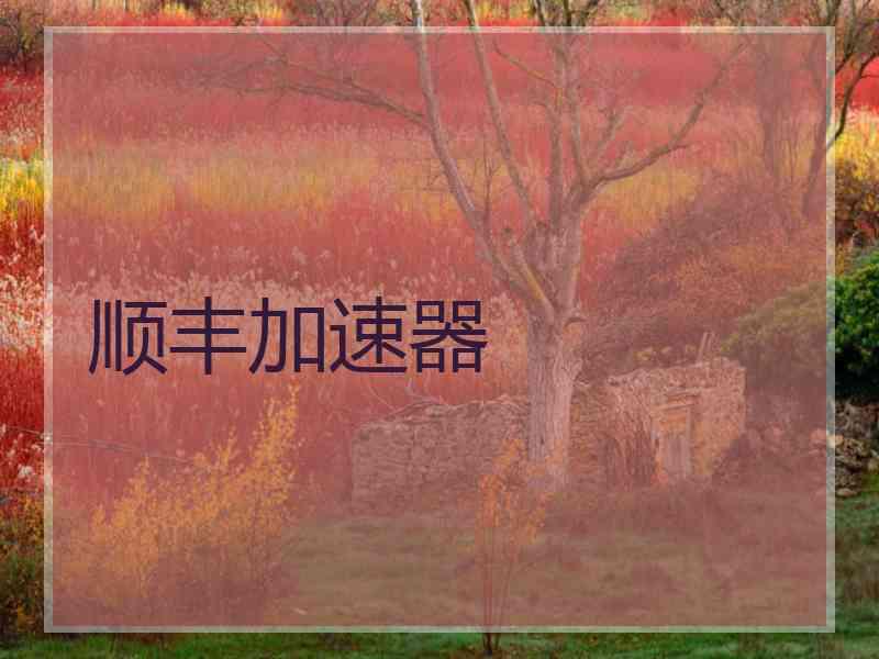 顺丰加速器
