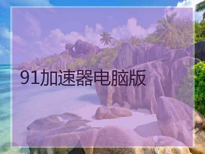 91加速器电脑版