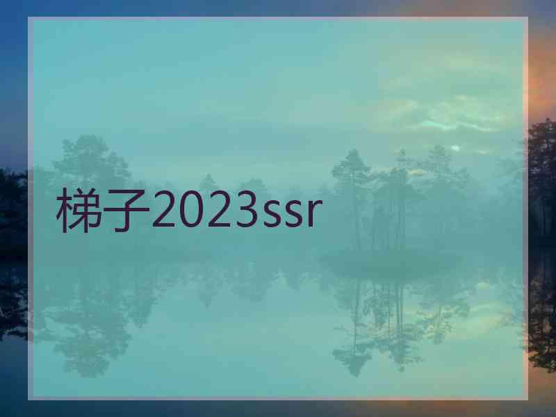 梯子2023ssr