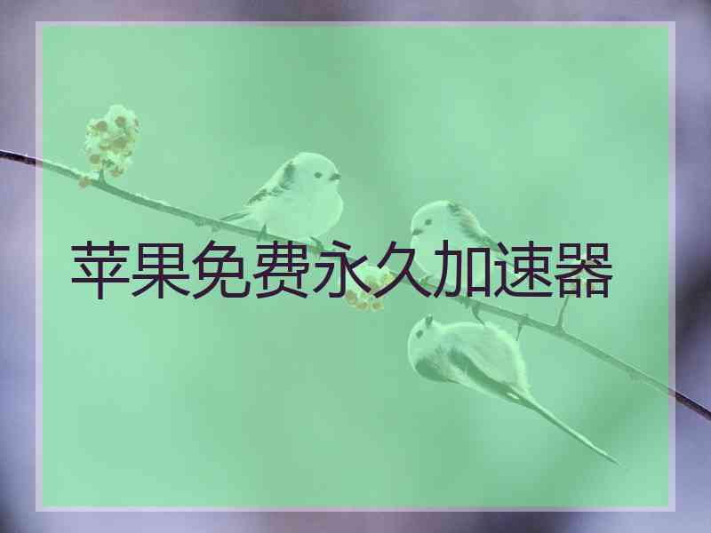 苹果免费永久加速器