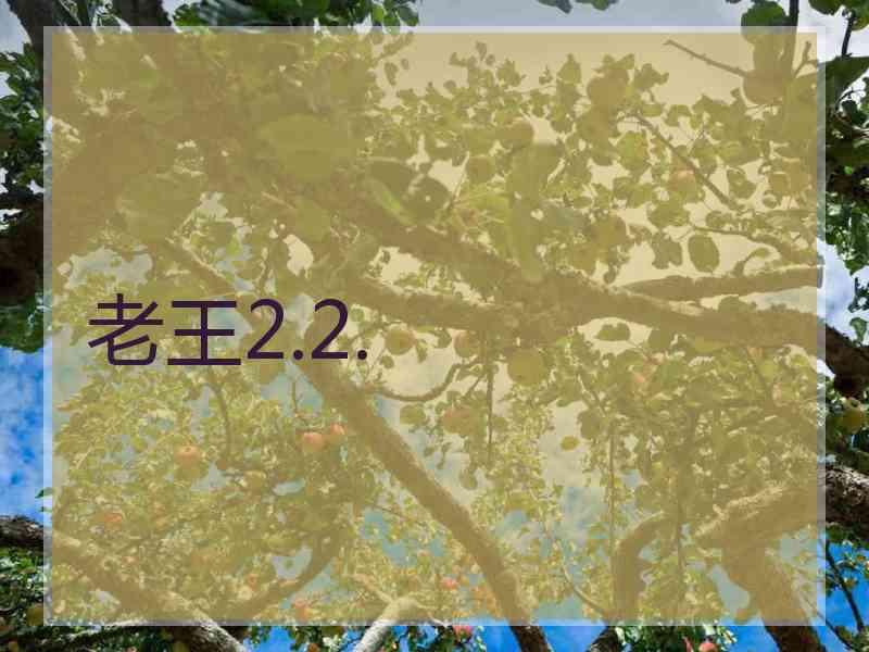 老王2.2.