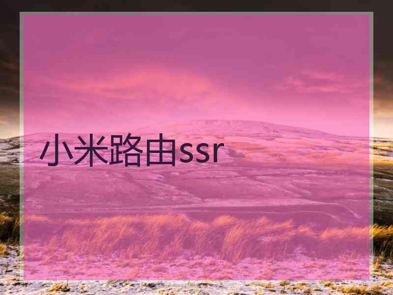 小米路由ssr