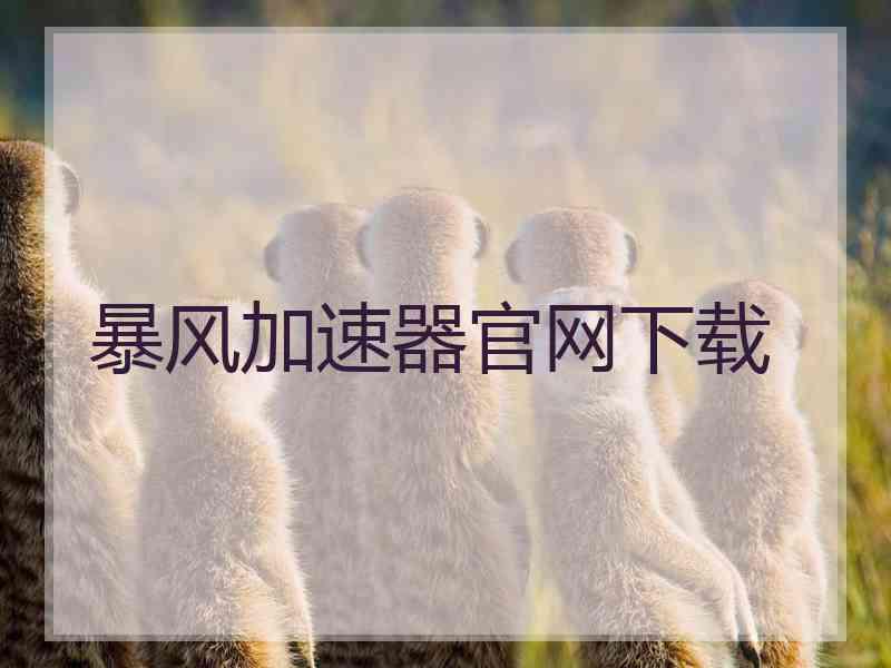 暴风加速器官网下载