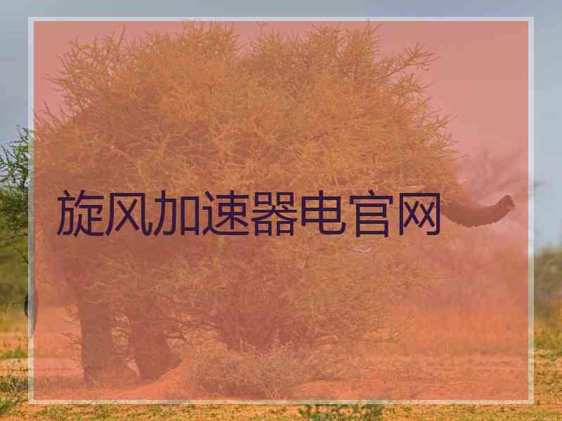 旋风加速器电官网