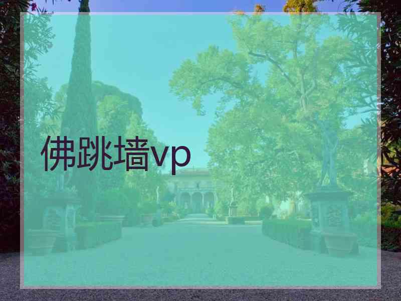 佛跳墙vp