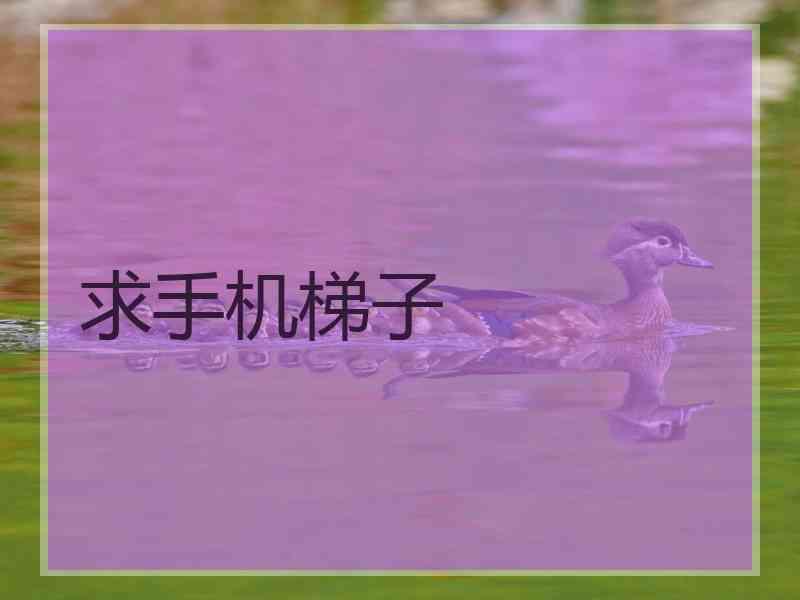 求手机梯子