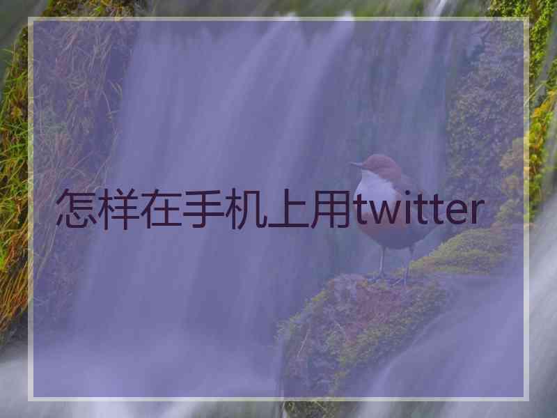 怎样在手机上用twitter