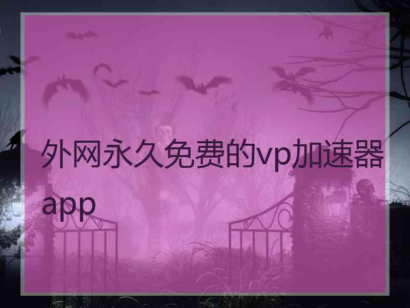 外网永久免费的vp加速器app