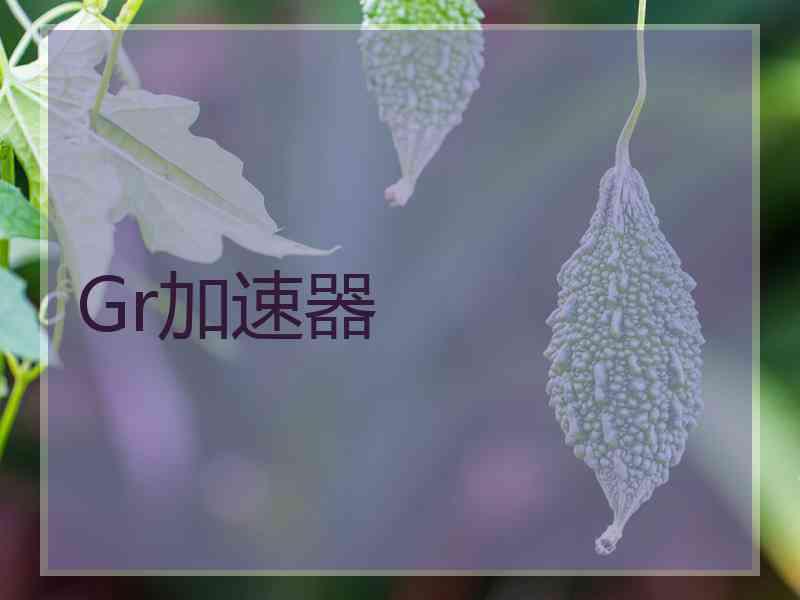 Gr加速器