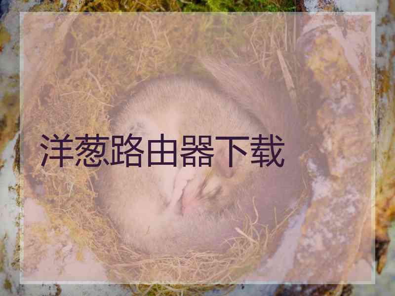 洋葱路由器下载