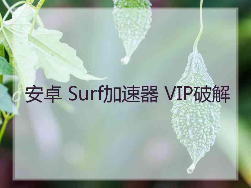 安卓 Surf加速器 VIP破解