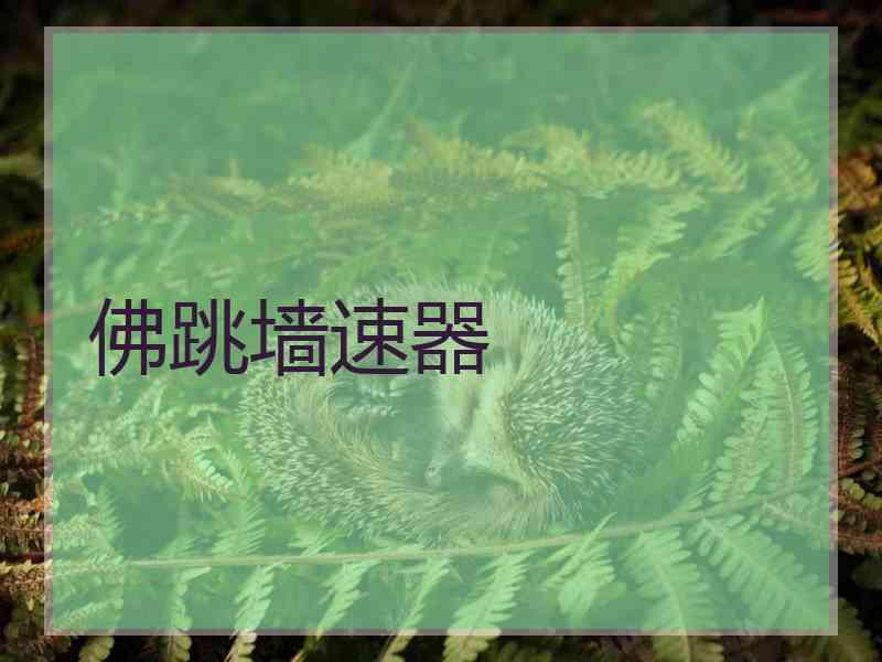 佛跳墙速器