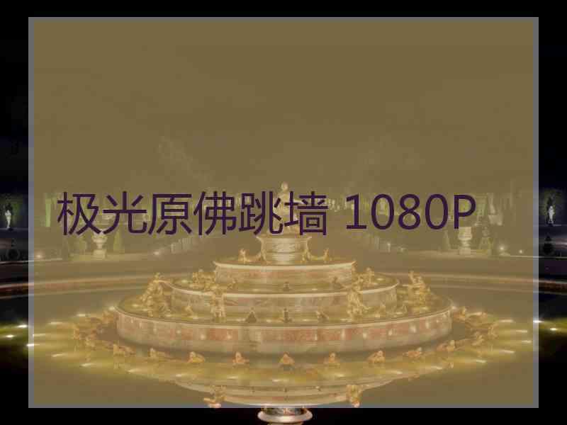 极光原佛跳墙 1080P