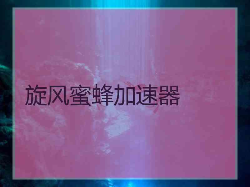 旋风蜜蜂加速器