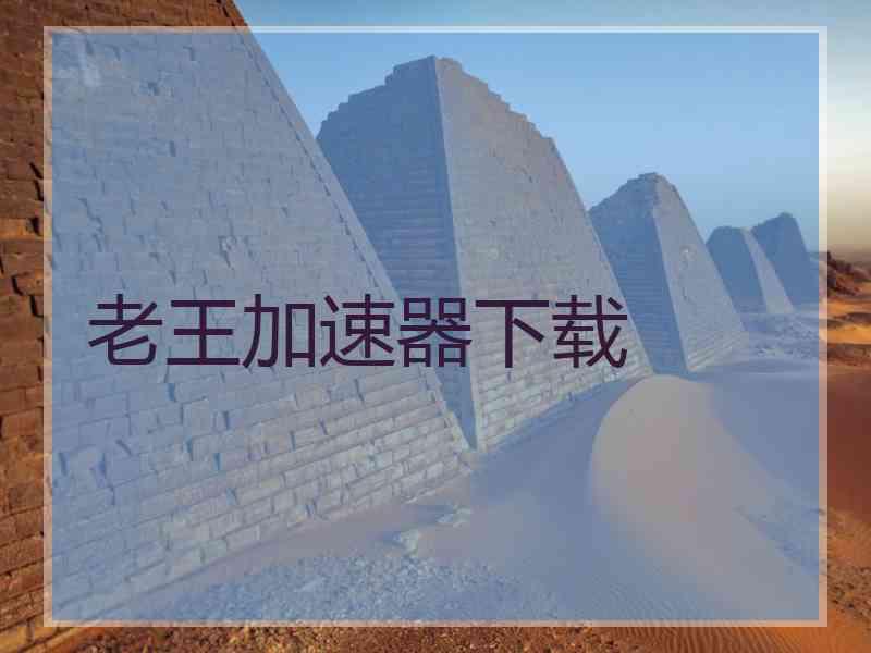 老王加速器下载